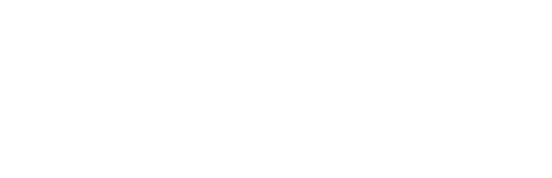 talent network, inc. logo
